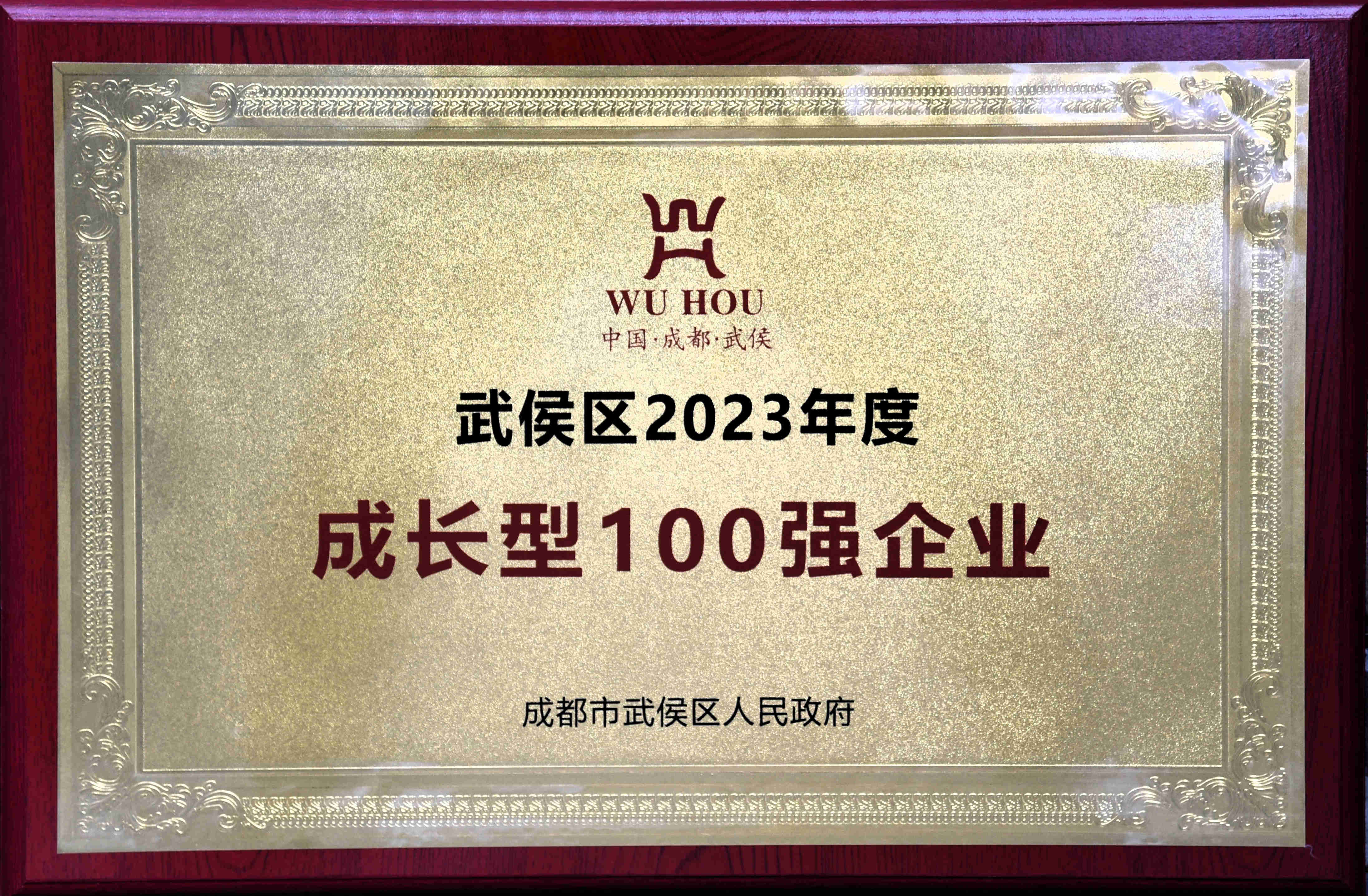 2023ȳɳ100ǿҵ