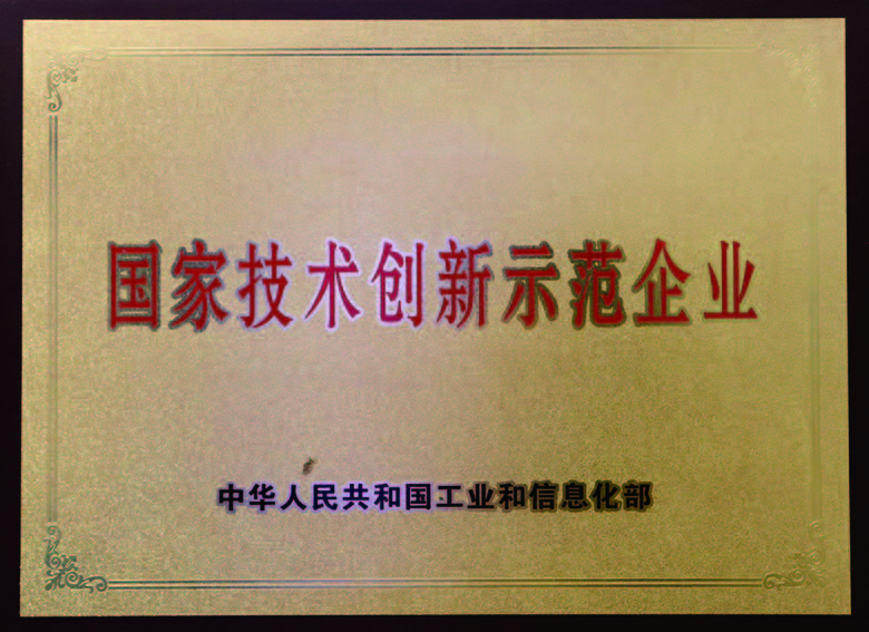 国度技术创新示范企业